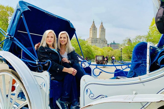 45 min Long VIP Central park carriage ride - Key things to know before you ride