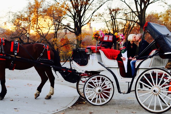 45 min Long VIP Central park carriage ride - Central Park South & West Drive: meeting point reality check