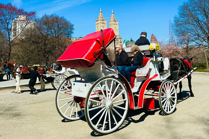 45 min Long VIP Central park carriage ride - Cherry Hill: the get-down moment that makes the photos better