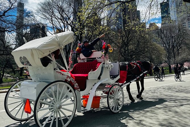 45 min Long VIP Central park carriage ride - Sheep’s Meadow and Columbus Circle: the park edge effect
