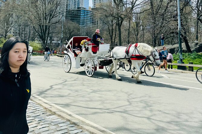 45 min Long VIP Central park carriage ride - Warm blankets in winter: comfort that changes the whole vibe
