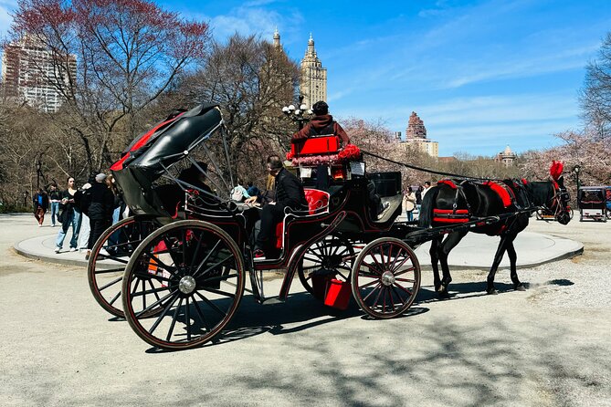 45 min Long VIP Central park carriage ride - Narration and trivia: it’s not just sightseeing, it’s context