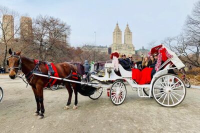 45 Minute VIP Central Park Carriage Ride - The Lower Loop Itinerary: Stops You Can Actually Recognize