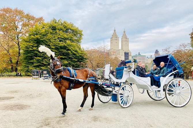 45 Minute VIP Central Park Carriage Ride - Timing, Photos, and How to Get the Most from 45 Minutes