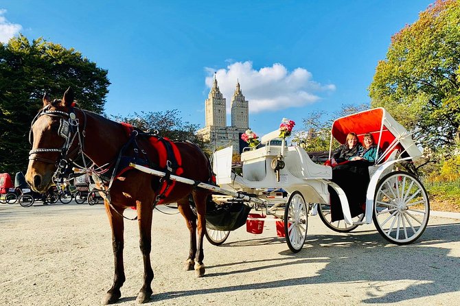 45 Minute VIP Central Park Carriage Ride - Weather and Common-Sense Planning