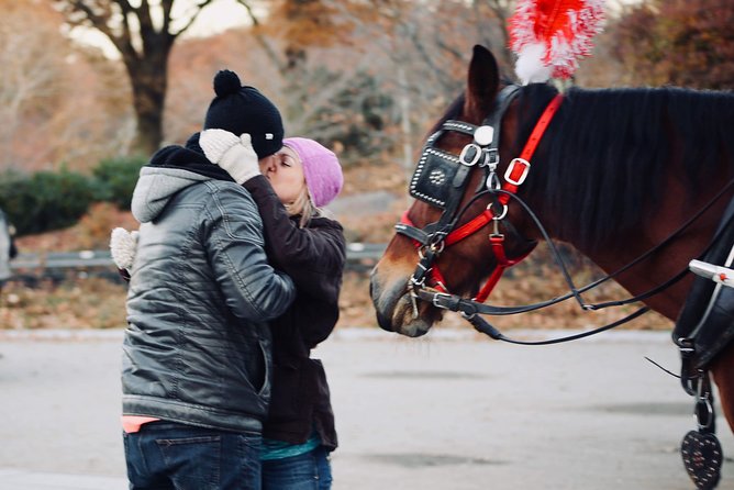 60 min surprise proposal carriage ride - A practical reality check: weather and your surprise plan