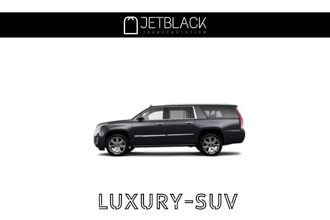 9 Hours tour in the city (New York City) - Explore the city :) - Chauffeurs: English-speaking, careful, and not a full guide