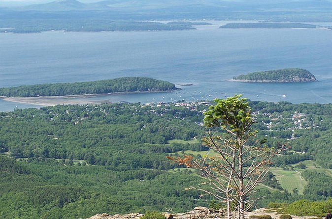 Acadia National Park & Boston 3-Day Tour from NYC | Kids 50% Off - Hotels, treats, and the comfort stuff that matters