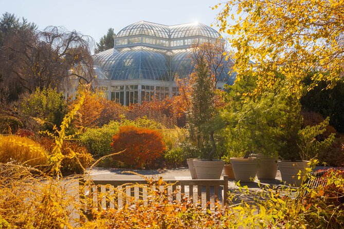 All-Garden Pass for the New York Botanical Garden - The Old-Growth Forest Walk for Quiet, Real Nature Moments