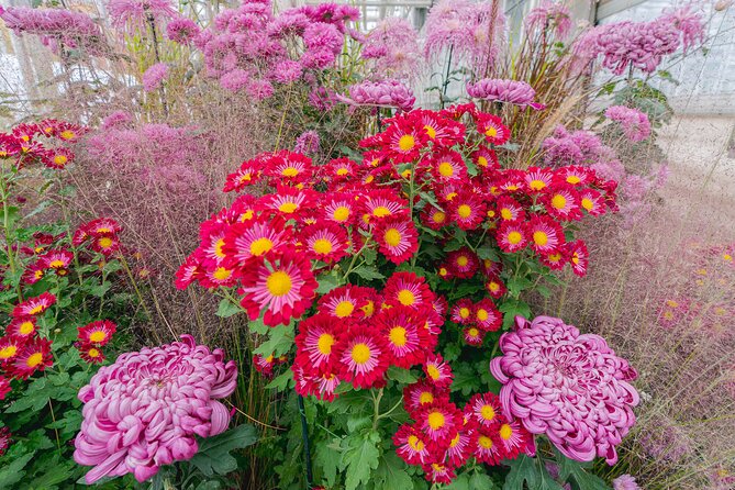 All-Garden Pass for the New York Botanical Garden - Food, Breaks, and the Little Comforts