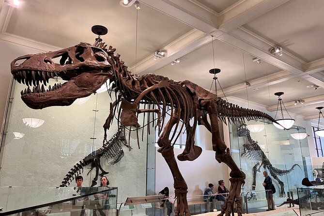 American Museum of Natural History and MOMA Combo Tickets - What’s included (and what you’ll need to handle)