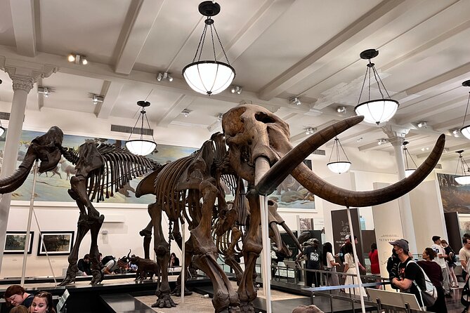 American Museum of Natural History and MOMA Combo Tickets - Practical tips that make this combo smoother