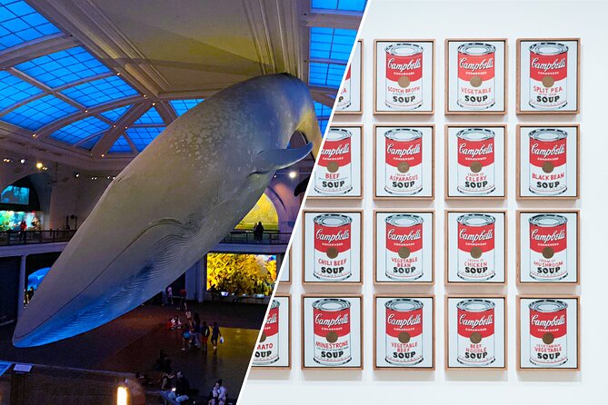 American Museum of Natural History and MOMA Combo Tickets - Should you book this MoMA + AMNH combo?