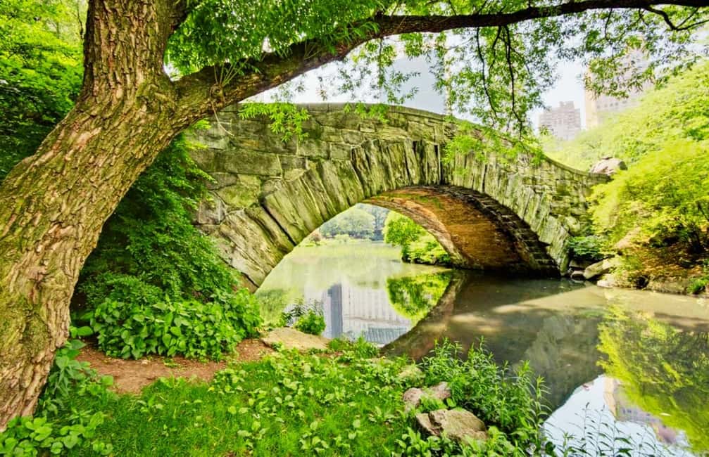 Best of Central Park: Top-Rated Pedicab Tour NYC - Wollman Rink and the Carousel: classic Central Park energy