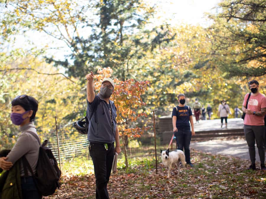 Brooklyn: 2-Hour Prospect Park Guided Walking Tour - Key takeaways before you go