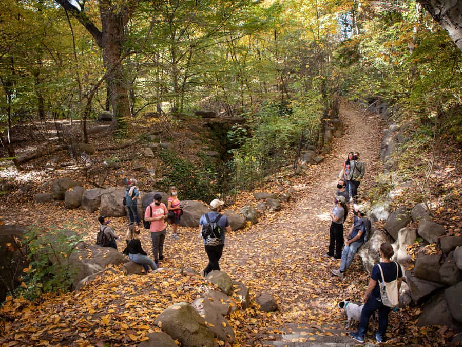 Brooklyn: 2-Hour Prospect Park Guided Walking Tour - Long Meadow: where open space explains the park’s design