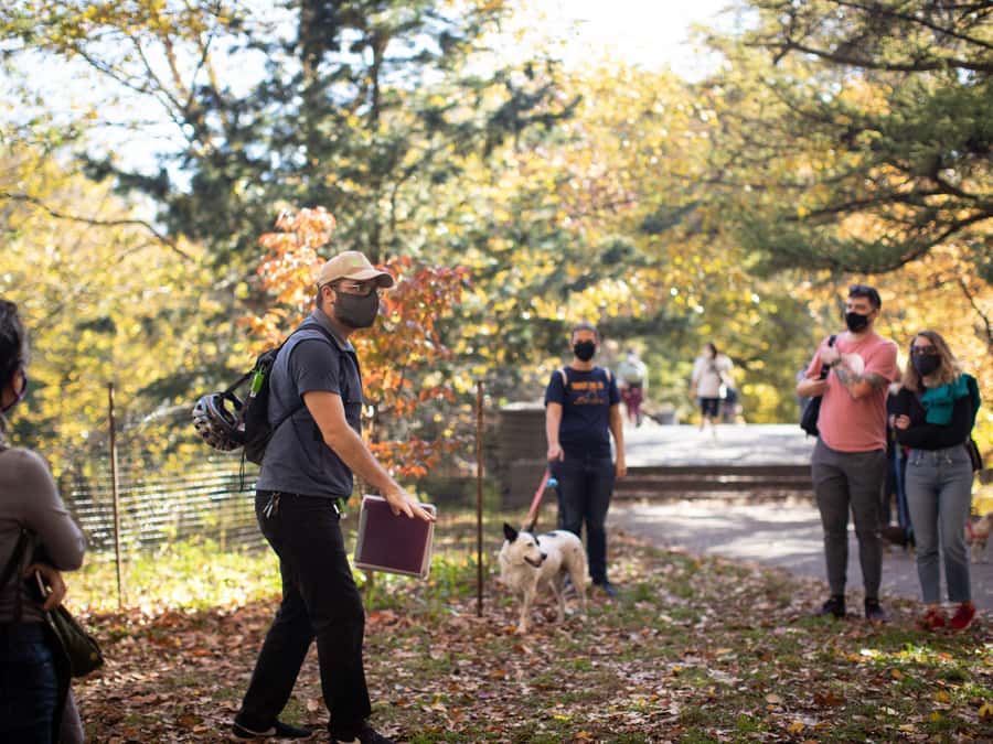 Brooklyn: 2-Hour Prospect Park Guided Walking Tour - Lakes and streams: learning the manmade watercourse behind the magic