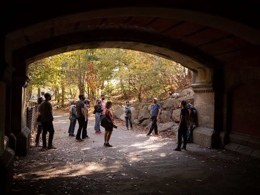 Brooklyn: 2-Hour Prospect Park Guided Walking Tour - Starting at Brooklyn Public Library: an easy, central launch point