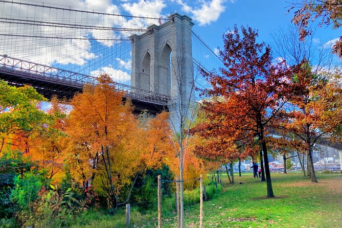 Brooklyn Bridge Waterfront Guided Bike Tour - Stop 4: Brooklyn Heights Promenade for Wall Street’s skyline