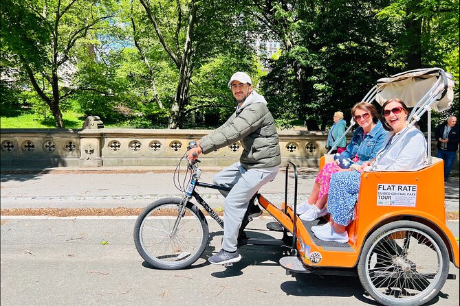 Central Park 2 - Hours Private Pedicab Guided Tour - Carousel and Cherry Hill: whimsical stops that still feel classic