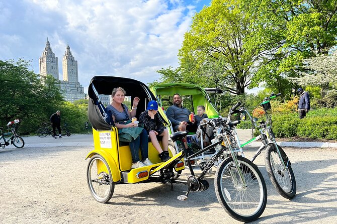 Central Park 2 - Hours Private Pedicab Guided Tour - Wollman Rink: year-round interest with winter movie connections
