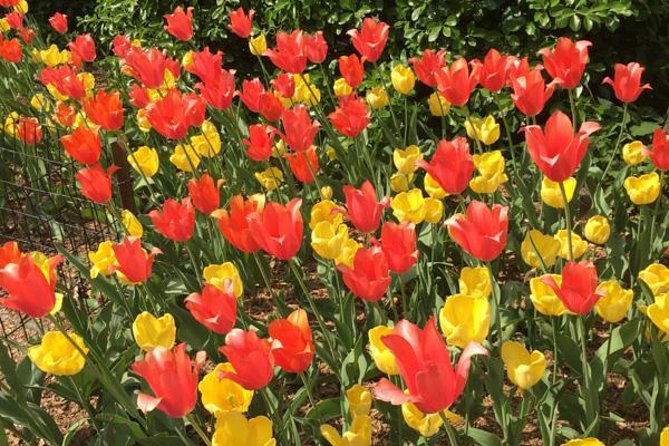 Central Park and Upper East Side Walking Tour - Entering at Doris C Freedman Place: A tour that starts in the right mood