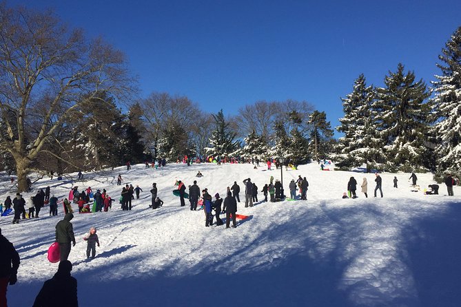 Central Park and Upper East Side Walking Tour - Wollman Rink in every season: when the park turns playful