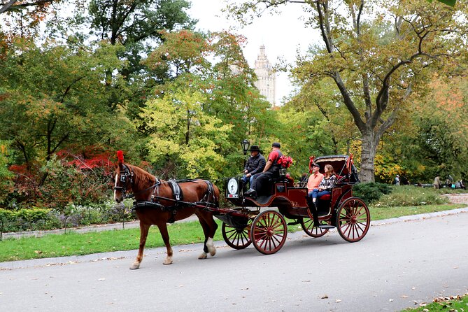 Central Park Carriage Ride w/ Drop Off @ Tavern On Green (45 min) - Why this 45-minute carriage ride fits Central Park perfectly