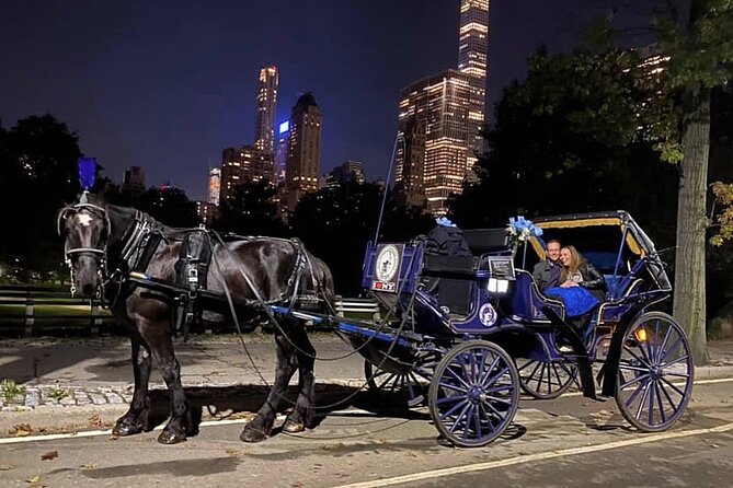 Central Park Carriage Ride w/ Drop Off @ Tavern On Green (45 min) - Winter comfort: blankets, timing, and riding when it’s chilly