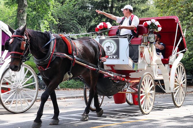 Central Park Carriage Ride w/ Drop Off @ Tavern On Green (45 min) - Starting at 7th Ave & West 59th: finding your carriage on time