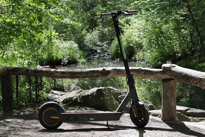 Central Park Electric Scooter Rentals - Price and value: is $25 worth it?