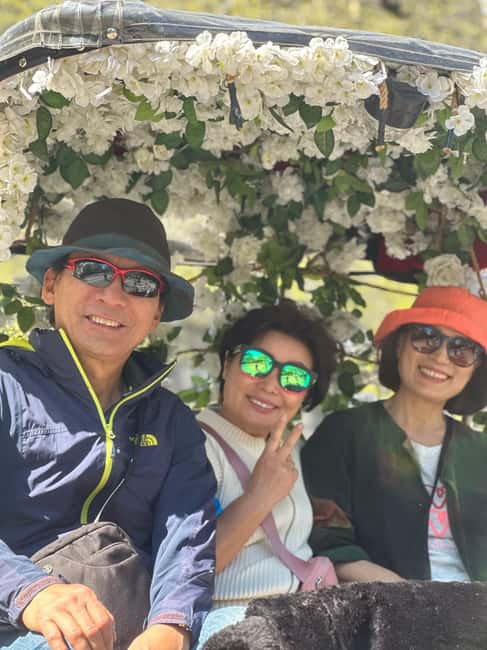 Central Park: Guided 1.5-hour Movie & Celebrity Pedicab Tour - Movie and TV scenes you can spot in front of you