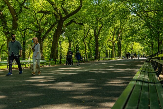 Central Park Guided Tours Pedicab - Bethesda Terrace and the heart of the park’s photo ops