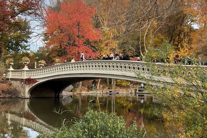 Central Park Guided Tours Pedicab - Wollman Rink and Balto: two stops with very different energy