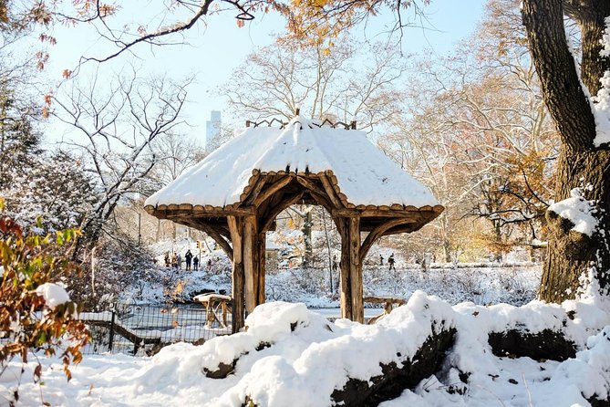 Central Park Guided Walking Tour in French - The Lake: slowing down is the point