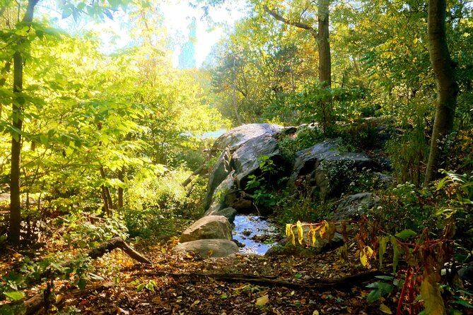 Central Park Guided Walking Tour - Natural Marvels - Why This Central Park Tour Feels More Than Sightseeing