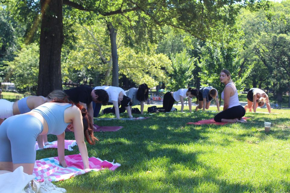 Central Park: Highest Rated Yoga Class in New York City! - All Levels Yoga in a Small Group Up to 10