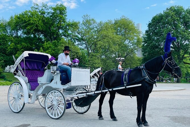 Central Park Horse and Carriage Rides - Why this carriage ride works in Central Park
