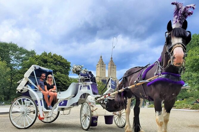 Central Park Horse and Carriage Rides - The classic route: how the ride actually feels