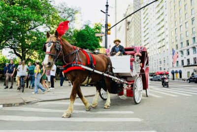 Central Park Horse and Carriage Rides - Starting at West 59th Street and 6th Avenue