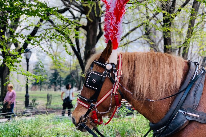 Central Park Horse and Carriage Rides - Stop-by-stop: what you’ll see (and why each one lands)