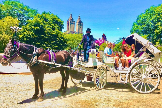 Central Park Horse and Carriage Rides - Classic vs deluxe: choosing between 45 and 60 minutes