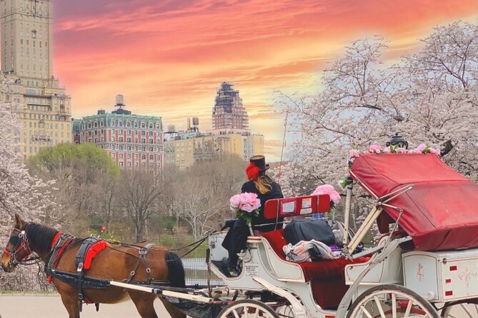 Central Park Horse and Carriage Rides - Drivers, storytelling, and the movie-location magic