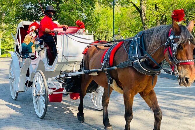 Central Park Horse and Carriage Rides - Horses, comfort, and winter timing reality