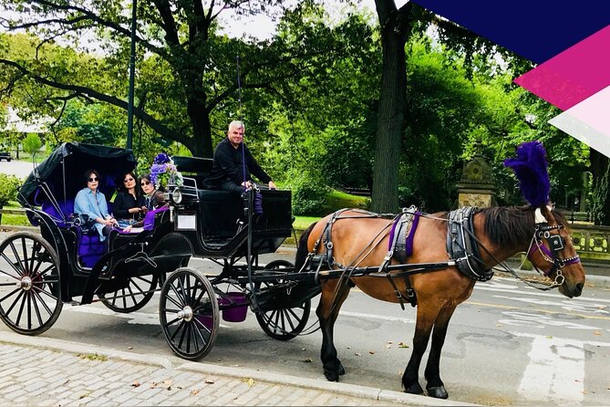 Central Park Horse and Carriage Rides - Value check: how $189 per group can work (or not)