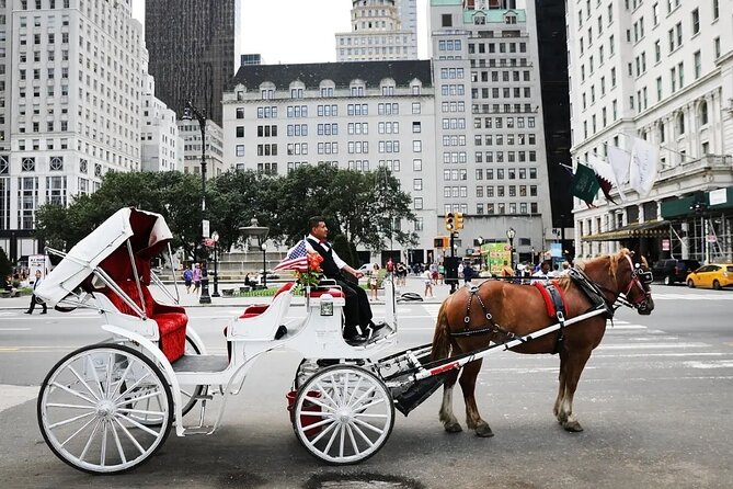 Central Park Horse Carriage Ride - Key things to notice before you go