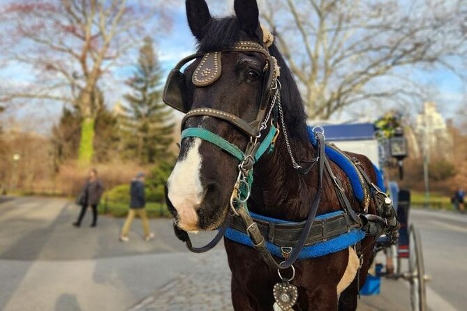 Central Park Horse Carriage Ride - Chess pavilion, the carousel, and Central Park Zoo stops