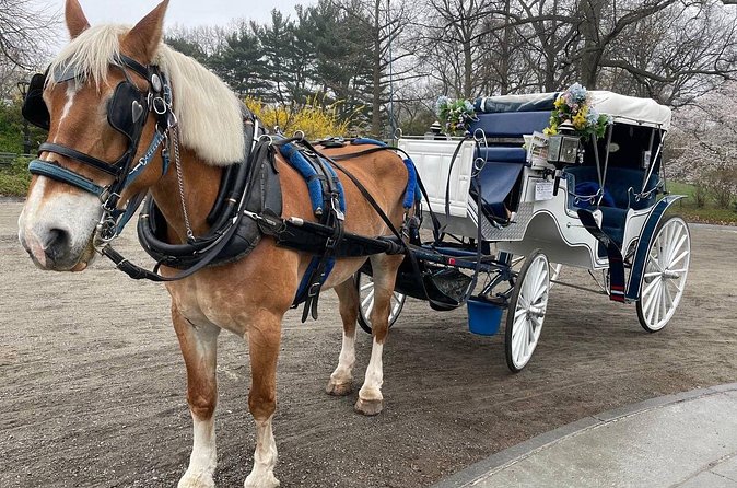 Central Park Horse Carriage Ride - Literary Walk, Balto, SummerStage, and Pilgrim Hill