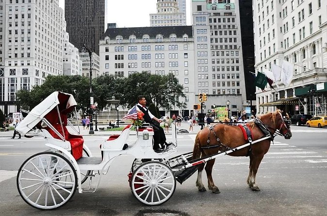 Central Park Horse Carriage Ride - The Mall’s elm canopy and the Loeb Boathouse waterfront