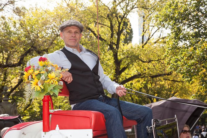 Central Park Horse Carriage Ride Short Loop (Up to 4 Adults)) - Comfort in Rain or Cold: Roof and Blankets Work
